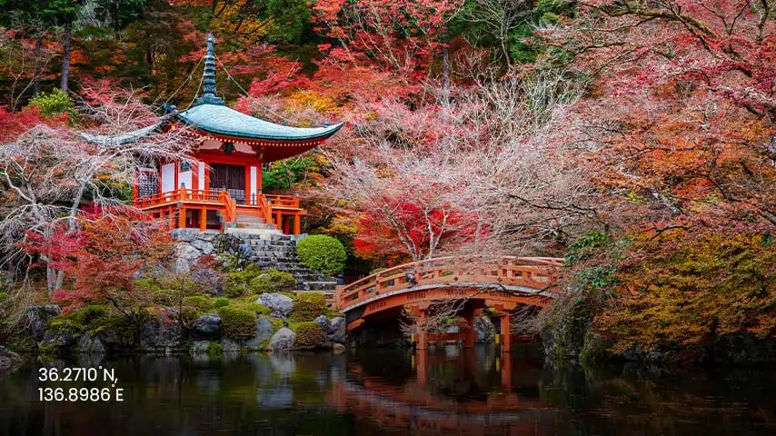 Best Time to Visit Japan Kyoto in Autumn