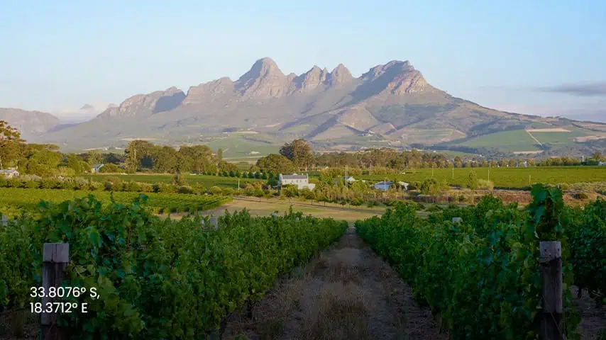 Cape Winelands