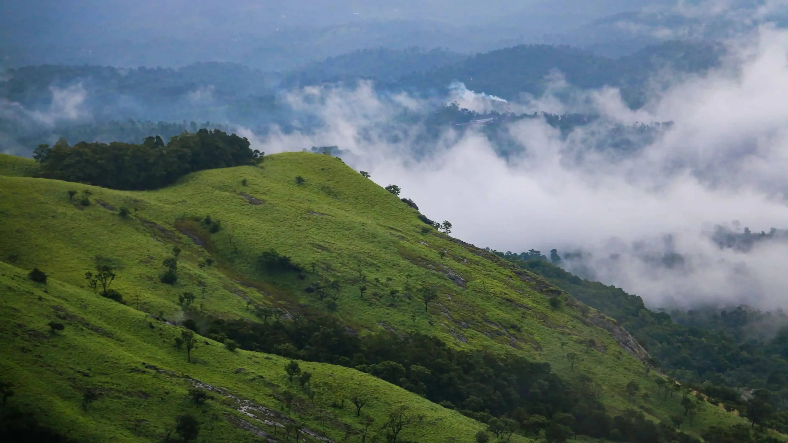 Kerala