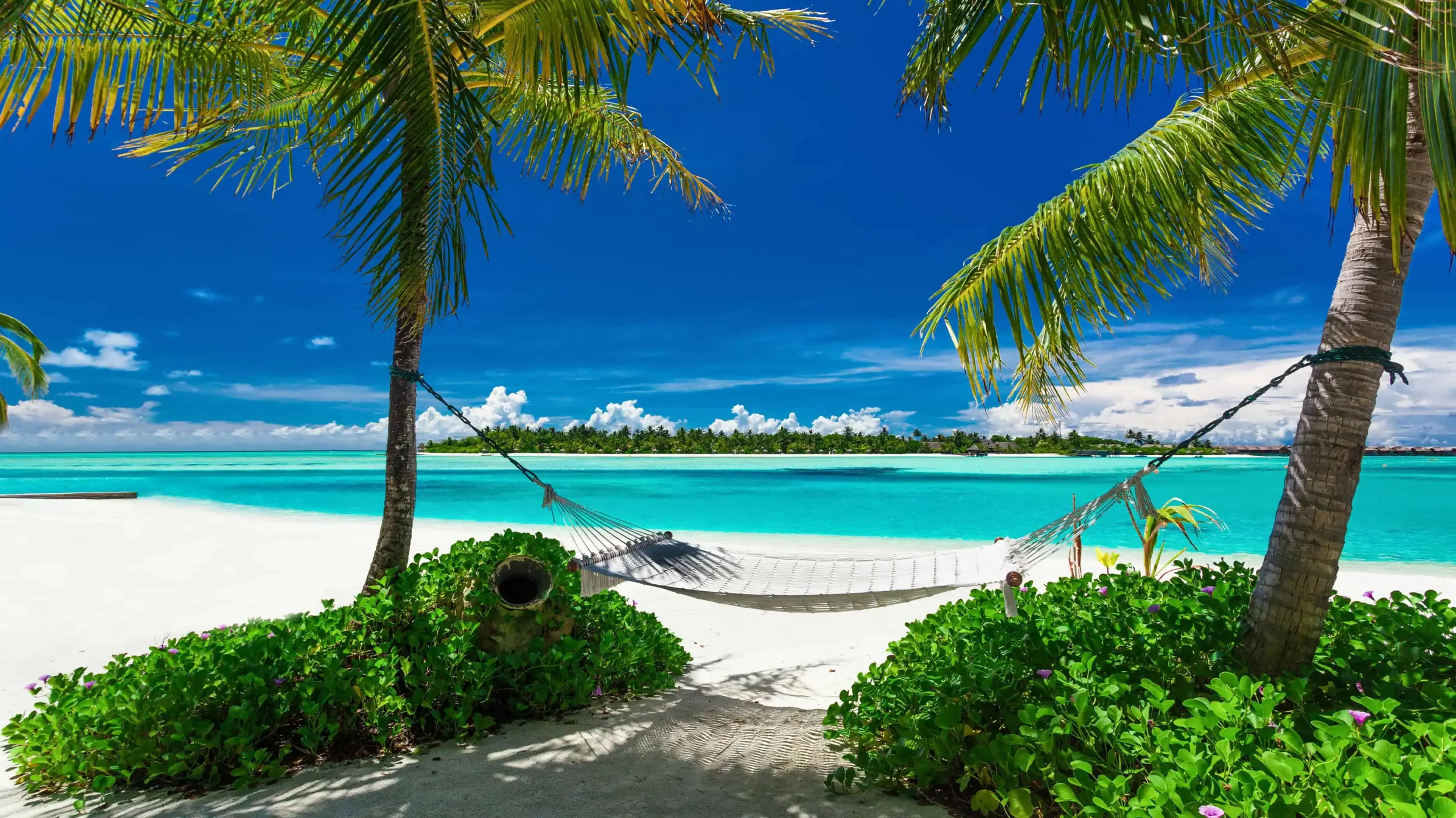 Image of Maldives Cruise Vacation from Qatar